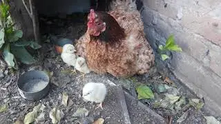 24/7