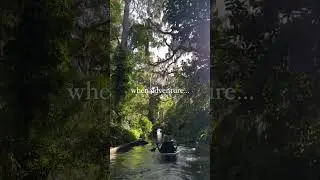The paddle thru the picturesque canals of Winter Parks Chain of Lakes is straight from a fairytale
