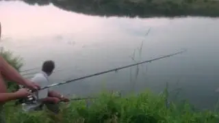 Маленькая рыбка