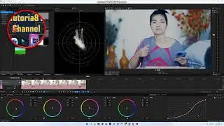 How to easy color grading in vegas 19