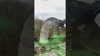 ГРЕНДПА И БОЛОТНЫЙ ЧЕРВЬ #granny #гренни
