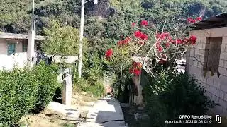 Santiago Nuyoo, Tlaxiaco , Oaxaca.