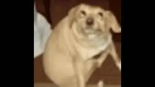 Ava type beat