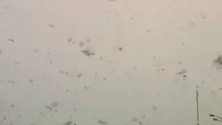 Снегопад в Мск. 25.12.2017