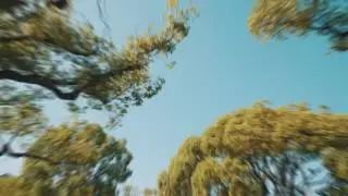 RiceGum - God Church (official music video)