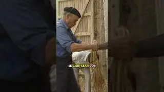 #SHORT | Los ESPARTEROS. Transformación de ESPARTO en CUERDAS (Vídeo completo en mi canal)