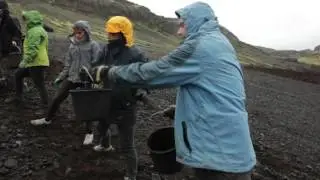 Revegetation in the South of Iceland