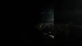 Разговор с духом мужского дальмена