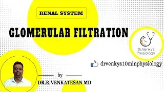 Glomerular Filtration