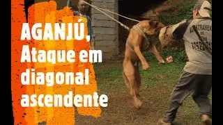 AGANJÚ DA CHACARA TERAMOTO - FILA BRASILEIRO ATACANDO