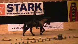 OD22V1Gæfa fra Sandholm