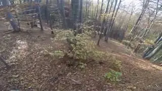 Autumn climb