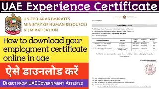 UAE Experience Certificate | How can I get experience certificate in Dubai🇦🇪Download Employment cert