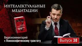 Интеллектуальные медитации. Видеокомментарий к Психософическому трактату: выпуск 38