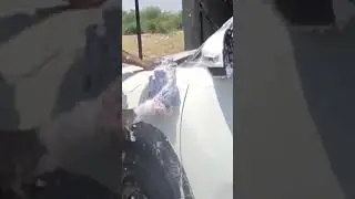 🎼Car🥰 Nam  Maruti 🚗 Suzuki🚘🚗 Brezza 🚙