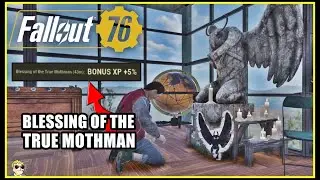 New Camp Ally (Steven Scarberry) - Fallout 76
