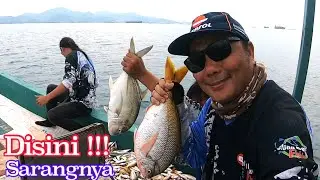 Hobi Mancing Ikan Beginian | Ada Disini Tempatnya | Wakung Babon Kapten Wari Pulau Panjang
