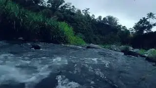 Live Relaxing Water Sounds – Soothing Nature Ambience for Deep Sleep & Stress Relief