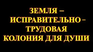 Приговор обжалованию не подлежит.