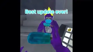 The summer update is the best!