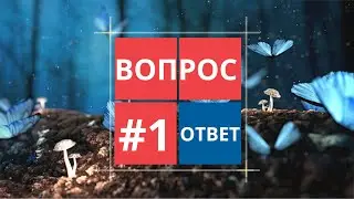 #вопросответ Задавай свои вопросы на любую тему и получай ответы от астрологии и ченнелинга.