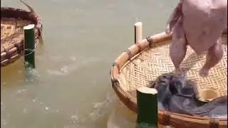 #Fish A master lure a fish out of its hole