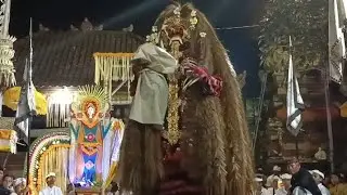 Sugra ida ratu ayu !! sesuhunan ambengan abiansemal tedun napak Pertiwi