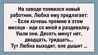 How Lyubka Tested the Newbie! A Collection of Fresh Anecdotes! Humor!