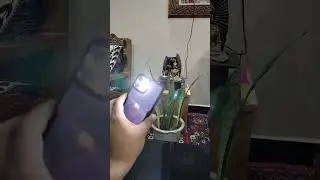 Light Up Your World with Siri's Lumos: Illuminate the Darkness!
