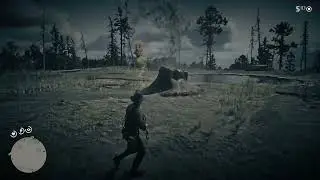 Легендарный волк. Как поймать легендарного волка RDR 2 (Red dead redemption 2)