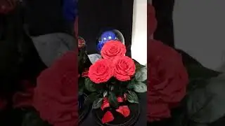 Модели, которые можно выбрать под заказ. Разные цвета и размеры. Мини, Премиум, Кинг, Вип, Трио