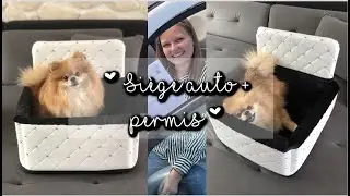 UNBOXING SIEGE AUTO CHIEN + INSTALLATION ┆ Spitz nain
