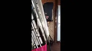 Аккордеонист Юрий Пашалы в прямом эфире!