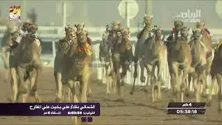 ملخص أشواط الحقايق العامة بالمحلي الثامن (صباح) ٢٧-٢-٢٠٢٠