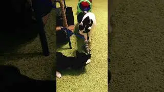 Рыбак не делится уловом 😁