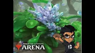 Umori, The Collector Brawl
