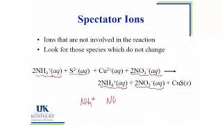 4.05 Molecular, Ionic and Net ionic Equations - Chemistry