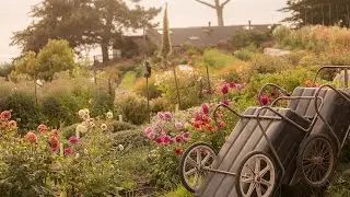 Growth!: An Evolution of the Farm & Garden
