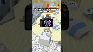 У меня есть камеры на тебя😏// 