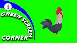 ROOSTER WALK COCK Green Screen Corner Video Animation Background Chrome Key - Upinder Bir Singh