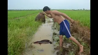 Amazing a man create Fishing equipment  Catch fish a lot in cambodia