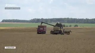 В Севском районе полным ходом  идёт уборка урожая