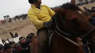 29.12.2019 Бузкаши дар нохияи Б.Гафуров. Маннон пахлавон бо аспи Марадона