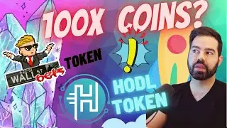 100X Potential? HODL and WSB Tokens?
