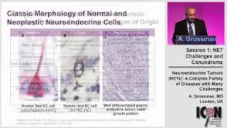 ICON Meeting 2011: A Complex Family of Disease with Many Challenges - Dr.Grossman