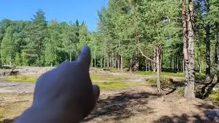 Как дрожит осина
