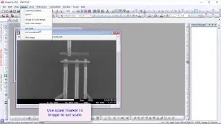 Set Image Scale and Measure Distance