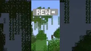 Minecraft's Secret Message