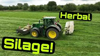 Silage Mowing! Hay Tedding! Big New Holland Baler Prep!