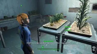 FALLOUT 4 1080p60 